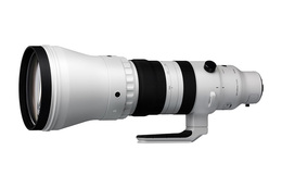 Sigma 300-600mm f/4 DG OS Sports for Sony FE