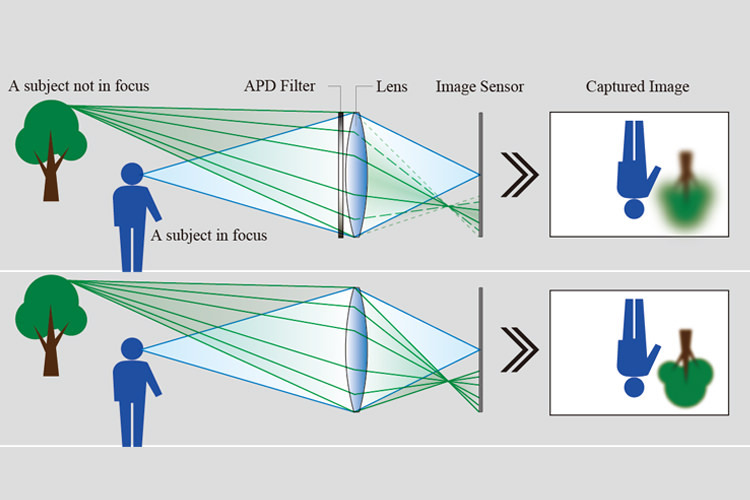 Fujifilm Fujinon XF 56mm f/1.2 R APD | CEWE Japan Photo